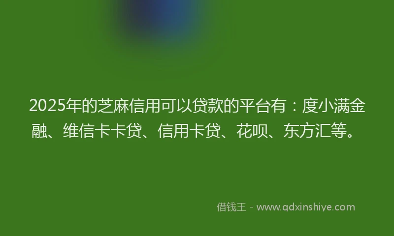 2025年的芝麻信用可以贷款的平台有：度小满金融、维信卡卡贷、信用卡贷、花呗、东方汇等。