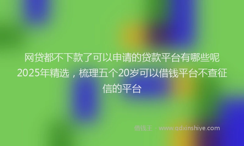 网贷都不下款了可以申请的贷款平台有哪些呢2025年精选，梳理五个20岁可以借钱平台不查征信的平台