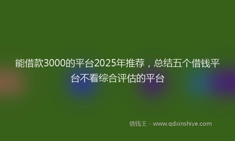 能借款3000的平台2025年推荐，总结五个借钱平台不看综合评估的平台