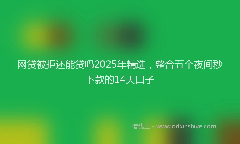 网贷被拒还能贷吗2025年精选，整合五个夜间秒下款的14天口子