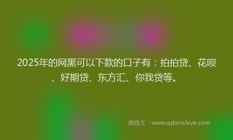 2025年的网黑可以下款的口子有：拍拍贷、花呗、好期贷、东方汇、你我贷等。