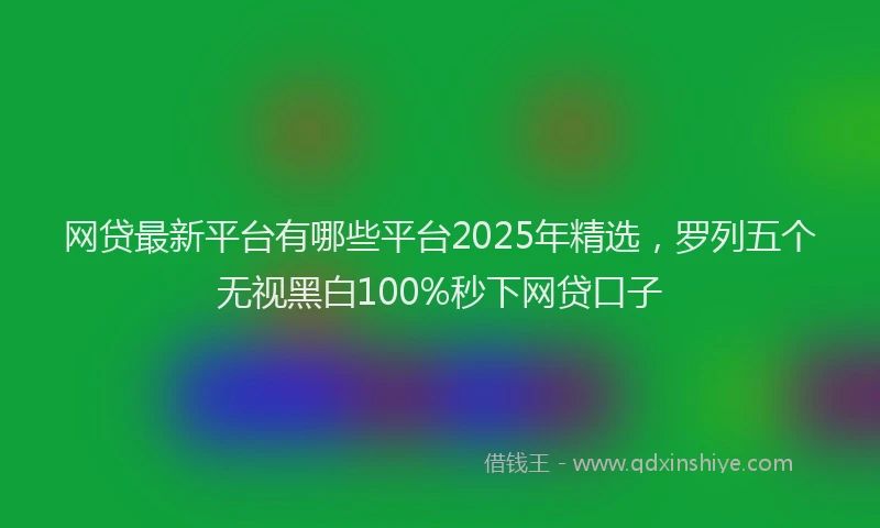 网贷最新平台有哪些平台2025年精选，罗列五个无视黑白100%秒下网贷口子