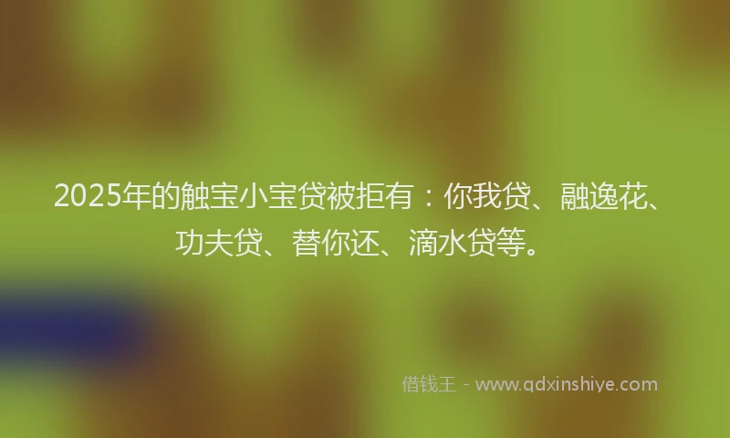 2025年的触宝小宝贷被拒有：你我贷、融逸花、功夫贷、替你还、滴水贷等。