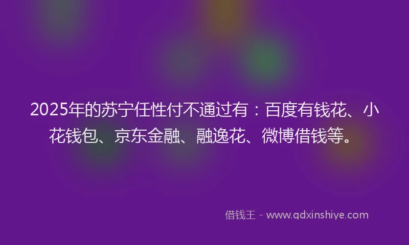 2025年的苏宁任性付不通过有：百度有钱花、小花钱包、京东金融、融逸花、微博借钱等。