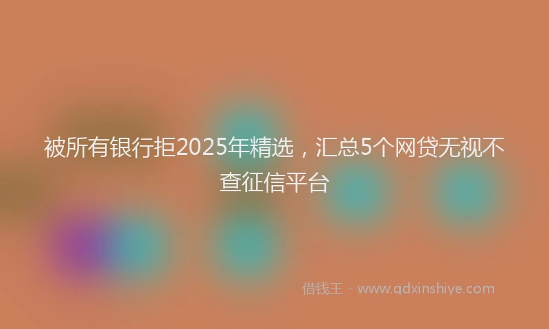 被所有银行拒2025年精选，汇总5个网贷无视不查征信平台
