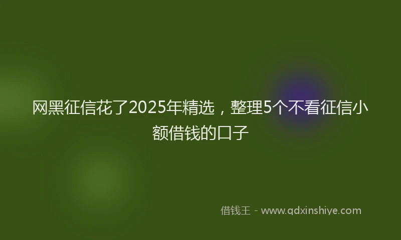 网黑征信花了2025年精选，整理5个不看征信小额借钱的口子