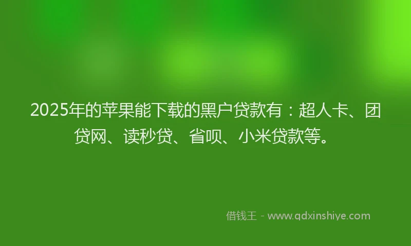 2025年的苹果能下载的黑户贷款有：超人卡、团贷网、读秒贷、省呗、小米贷款等。