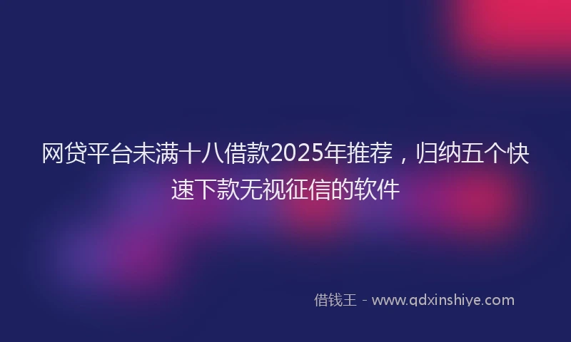 网贷平台未满十八借款2025年推荐，归纳五个快速下款无视征信的软件