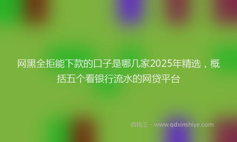 网黑全拒能下款的口子是哪几家2025年精选，概括五个看银行流水的网贷平台