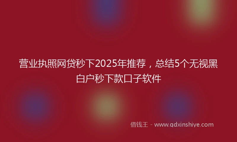 营业执照网贷秒下2025年推荐，总结5个无视黑白户秒下款口子软件