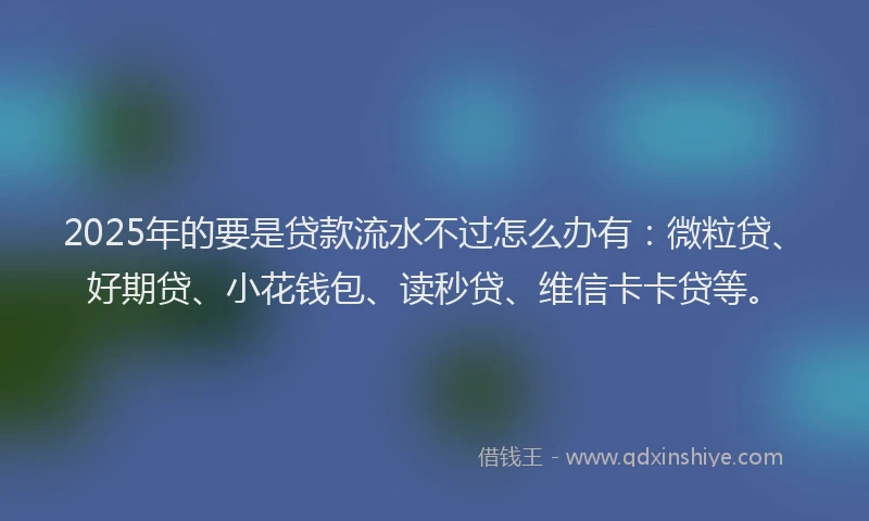 2025年的要是贷款流水不过怎么办有：微粒贷、好期贷、小花钱包、读秒贷、维信卡卡贷等。