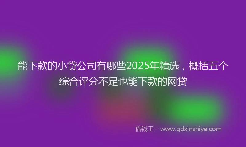 能下款的小贷公司有哪些2025年精选，概括五个综合评分不足也能下款的网贷