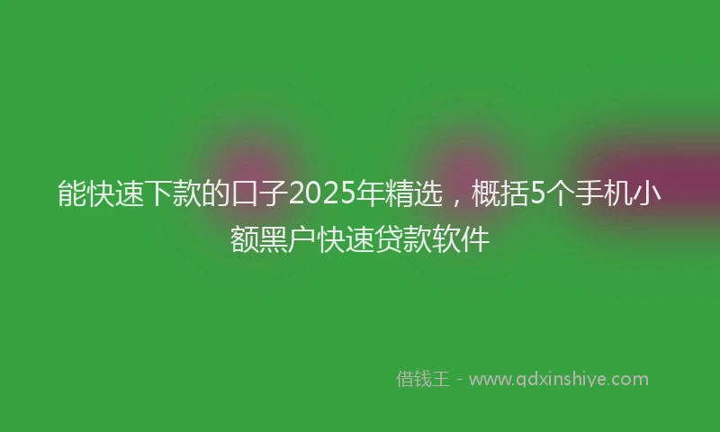能快速下款的口子2025年精选，概括5个手机小额黑户快速贷款软件