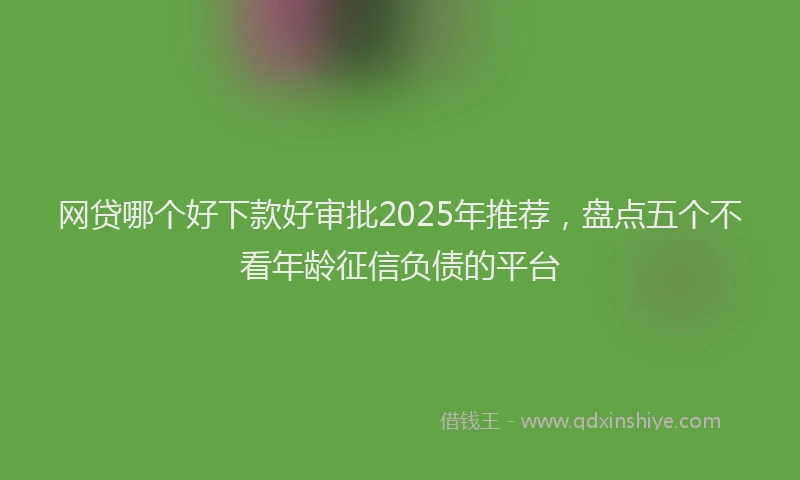 网贷哪个好下款好审批2025年推荐，盘点五个不看年龄征信负债的平台