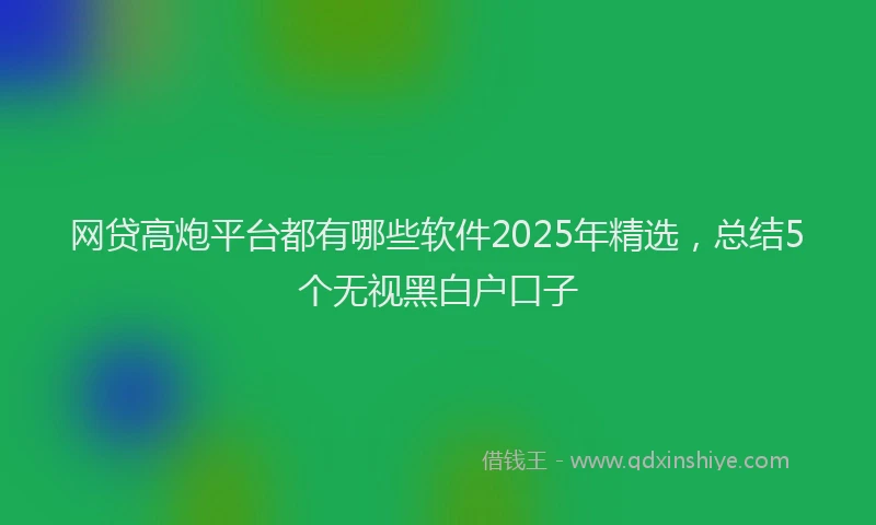 网贷高炮平台都有哪些软件2025年精选，总结5个无视黑白户口子