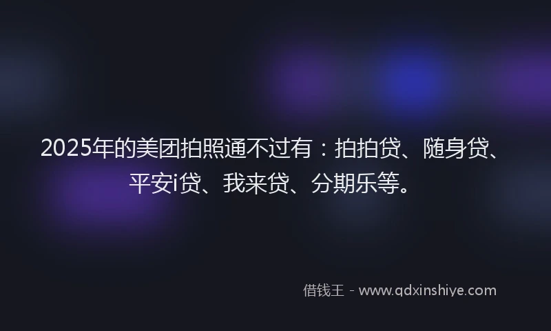 2025年的美团拍照通不过有：拍拍贷、随身贷、平安i贷、我来贷、分期乐等。