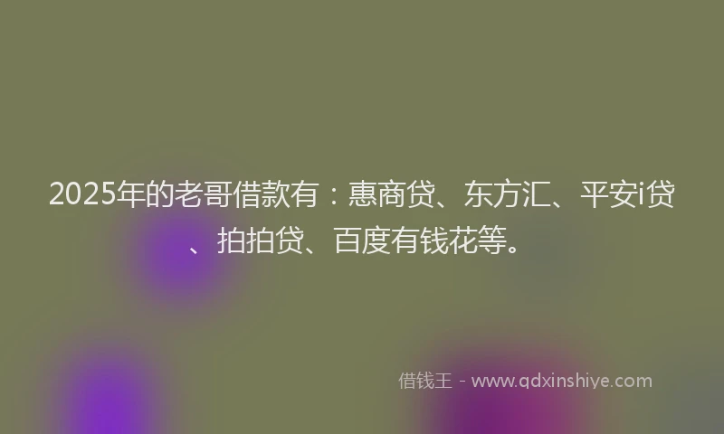 2025年的老哥借款有：惠商贷、东方汇、平安i贷、拍拍贷、百度有钱花等。