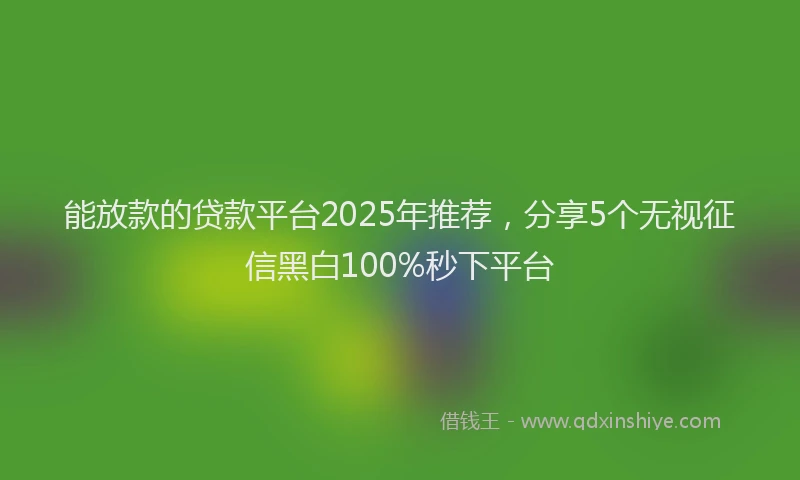 能放款的贷款平台2025年推荐，分享5个无视征信黑白100%秒下平台