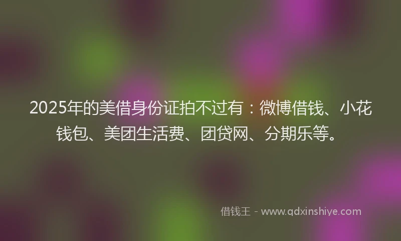 2025年的美借身份证拍不过有：微博借钱、小花钱包、美团生活费、团贷网、分期乐等。