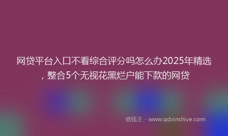 网贷平台入口不看综合评分吗怎么办2025年精选，整合5个无视花黑烂户能下款的网贷