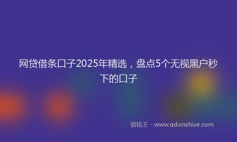 网贷借条口子2025年精选，盘点5个无视黑户秒下的口子