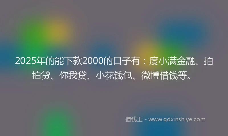 2025年的能下款2000的口子有：度小满金融、拍拍贷、你我贷、小花钱包、微博借钱等。