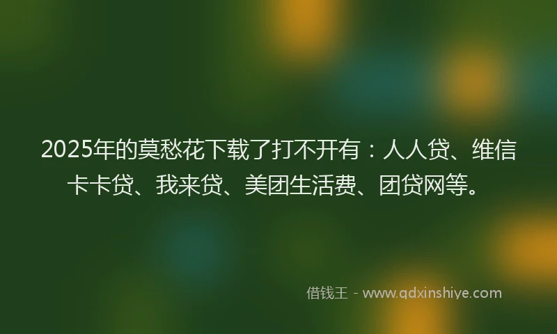 2025年的莫愁花下载了打不开有：人人贷、维信卡卡贷、我来贷、美团生活费、团贷网等。