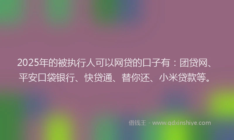 2025年的被执行人可以网贷的口子有：团贷网、平安口袋银行、快贷通、替你还、小米贷款等。