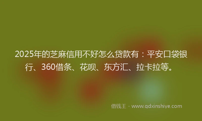 2025年的芝麻信用不好怎么贷款有：平安口袋银行、360借条、花呗、东方汇、拉卡拉等。