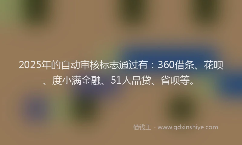 2025年的自动审核标志通过有：360借条、花呗、度小满金融、51人品贷、省呗等。