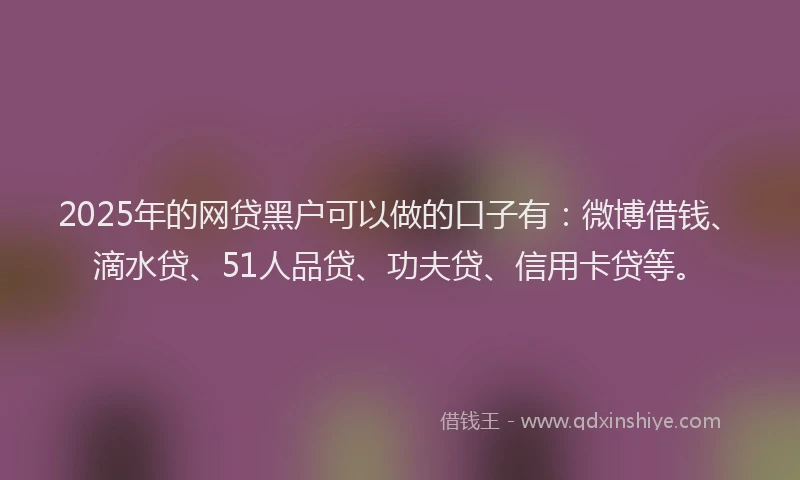 2025年的网贷黑户可以做的口子有：微博借钱、滴水贷、51人品贷、功夫贷、信用卡贷等。