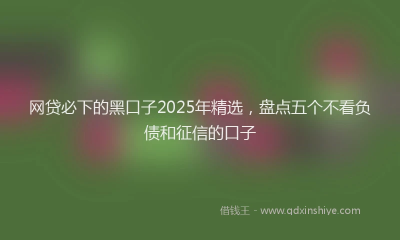 网贷必下的黑口子2025年精选，盘点五个不看负债和征信的口子