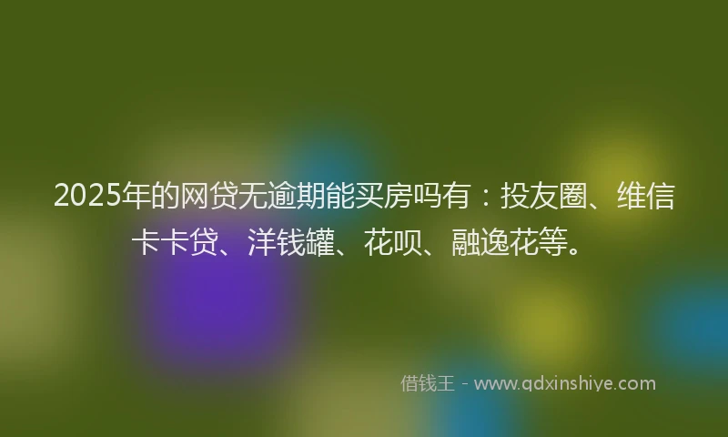 2025年的网贷无逾期能买房吗有：投友圈、维信卡卡贷、洋钱罐、花呗、融逸花等。