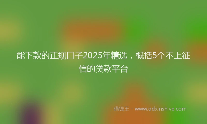 能下款的正规口子2025年精选，概括5个不上征信的贷款平台