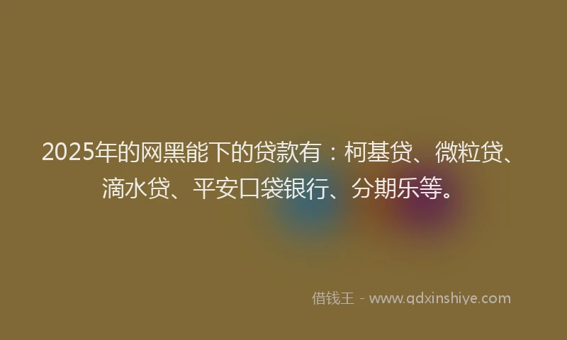 2025年的网黑能下的贷款有：柯基贷、微粒贷、滴水贷、平安口袋银行、分期乐等。