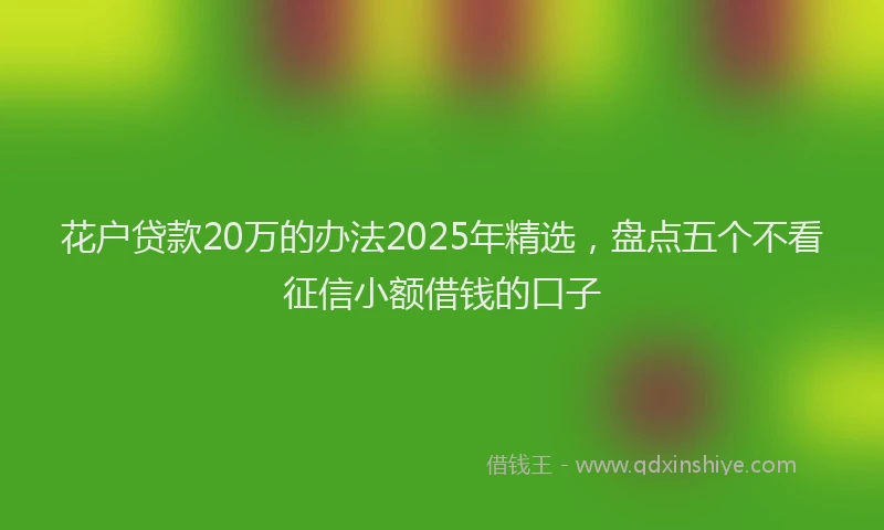 花户贷款20万的办法2025年精选，盘点五个不看征信小额借钱的口子