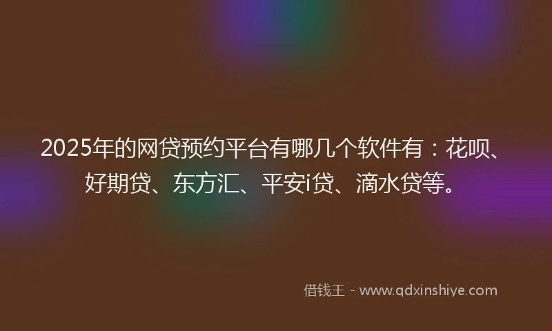 2025年的网贷预约平台有哪几个软件有：花呗、好期贷、东方汇、平安i贷、滴水贷等。