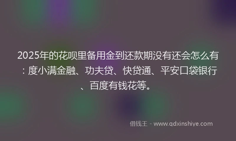 2025年的花呗里备用金到还款期没有还会怎么有：度小满金融、功夫贷、快贷通、平安口袋银行、百度有钱花等。