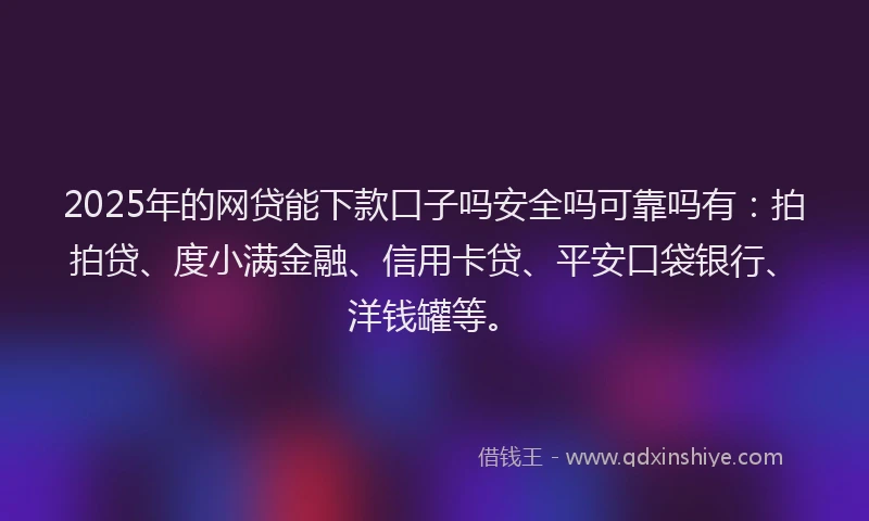2025年的网贷能下款口子吗安全吗可靠吗有：拍拍贷、度小满金融、信用卡贷、平安口袋银行、洋钱罐等。