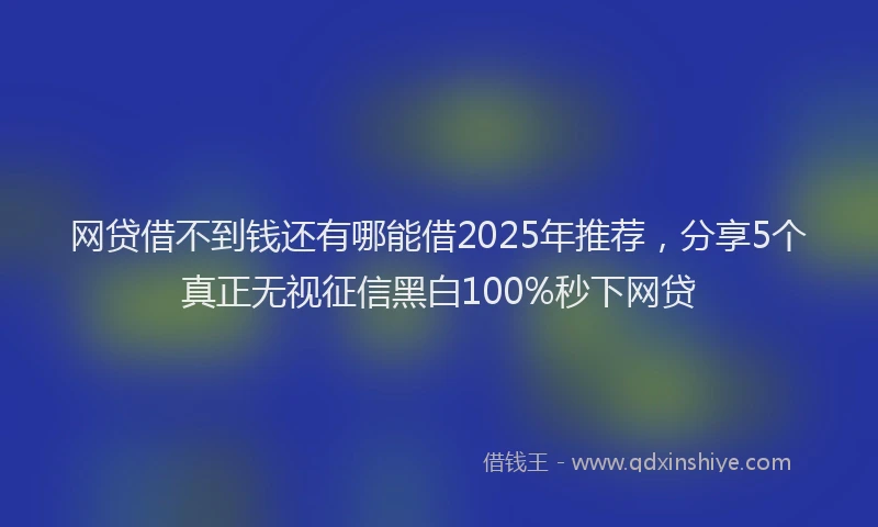 网贷借不到钱还有哪能借2025年推荐，分享5个真正无视征信黑白100%秒下网贷
