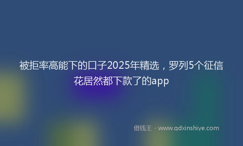被拒率高能下的口子2025年精选，罗列5个征信花居然都下款了的app
