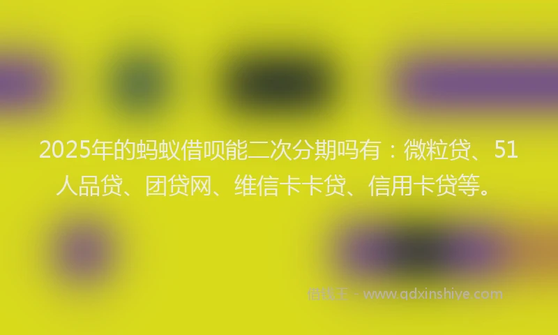 2025年的蚂蚁借呗能二次分期吗有：微粒贷、51人品贷、团贷网、维信卡卡贷、信用卡贷等。