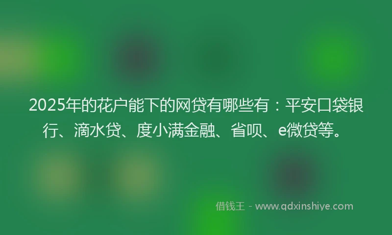 2025年的花户能下的网贷有哪些有：平安口袋银行、滴水贷、度小满金融、省呗、e微贷等。