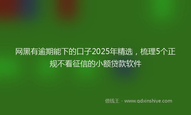 网黑有逾期能下的口子2025年精选，梳理5个正规不看征信的小额贷款软件