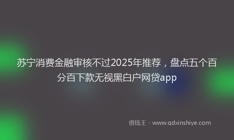 苏宁消费金融审核不过2025年推荐，盘点五个百分百下款无视黑白户网贷app