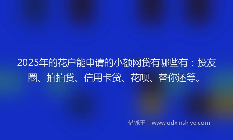 2025年的花户能申请的小额网贷有哪些有：投友圈、拍拍贷、信用卡贷、花呗、替你还等。