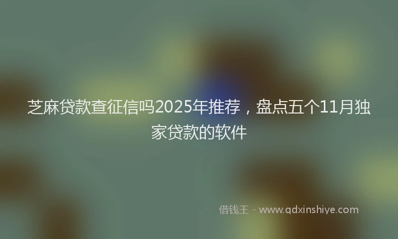 芝麻贷款查征信吗2025年推荐，盘点五个11月独家贷款的软件