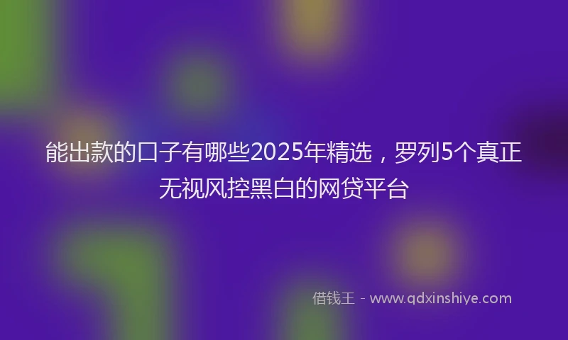 能出款的口子有哪些2025年精选，罗列5个真正无视风控黑白的网贷平台