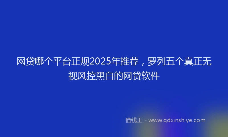 网贷哪个平台正规2025年推荐，罗列五个真正无视风控黑白的网贷软件