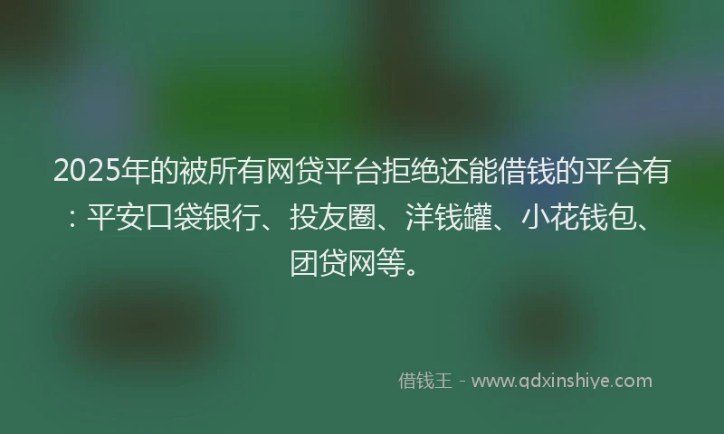 2025年的被所有网贷平台拒绝还能借钱的平台有：平安口袋银行、投友圈、洋钱罐、小花钱包、团贷网等。
